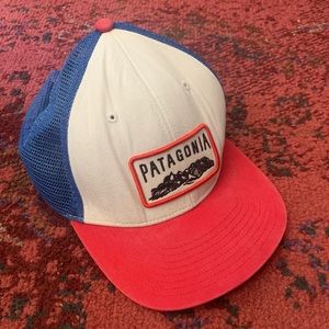 Patagonia Trucker Hat